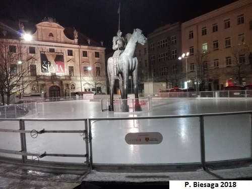 Ice rink in Brno